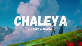 CHALEYA  SLOWED amp REVERB  LISTEN AND FEEL [upl. by Eleanore]