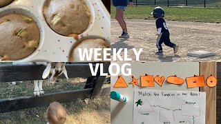 WEEK IN MY LIFE  Chatty vlog sourdough muffins shopping trips [upl. by Ahsatal960]