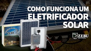 Como funciona um eletrificador solar [upl. by Lemra]