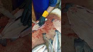 Nice Fish Cutting Skills [upl. by Adla]