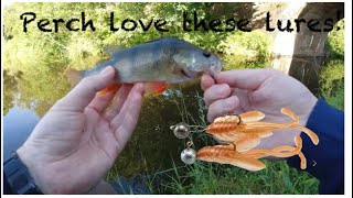 BFS fishing for Perch lots and lots of Perch  UK Canal Fishing [upl. by Hahnke]