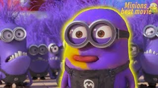 Minions funny memorable moments and clips HD episode 07 [upl. by Ettesil255]