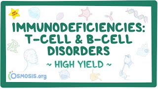 Immunodeficiencies Tcell and Bcell disorders Pathology review [upl. by Rice]