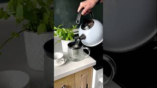 Fresh Mint Tea in Stainless Steel Kettle  AGA Cookshop [upl. by Aehtrod]