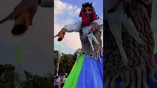 Elements Recap Reel festival musicandartsfestival edmfestival festivalofdreams [upl. by Tori]