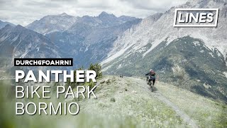 Panther  Bike Park Bormio  LINES [upl. by Zephaniah]