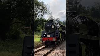 BR Standard No 73082 Camelot Exiting The Sharpthorne Tunnel on The Bluebell Railway [upl. by Annaik]