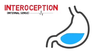 What is Interoception internal sense [upl. by Ciapas]