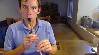 Down By the Sally Gardens  Tin Whistle [upl. by Iris]