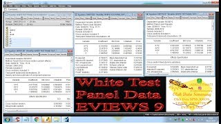 White Test Panel Data EVIEWS 9 [upl. by Sinylg145]