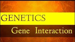 Gene Interactions Allelic and Nonallelic [upl. by Barstow434]