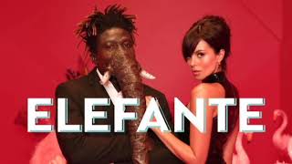 NK  ELEFANTE Official Video [upl. by Maleeny]