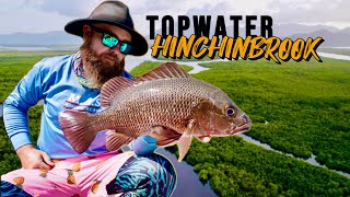 TOPWATER FISHING HINCHINBROOK ISLAND  Tips And Tricks [upl. by Lavud]