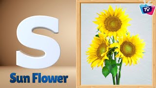 Flowers ABC Song  Flowers Alphabet Song for Toddler  Phonics for Kids  Alphabet Letters [upl. by Ardnuas246]