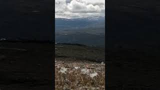 Villrein jakt hardangervidda hunting reindeer gopro nature mountains wildlife caribou [upl. by Ainavi681]