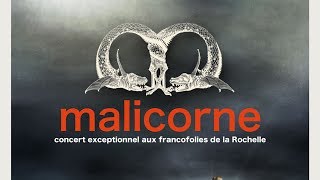 Malicorne  Le prince dOrange Live officiel [upl. by Yaya318]