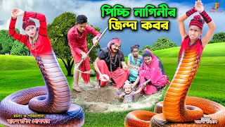 দিহানের পিচ্চি নাগিনীর জিন্দা কবর  dihaner Naginir Jinda Kobor  bengali fairy tales  dihan bihan [upl. by Asilav]