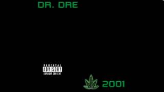 Dr Dre  Murder Inc feat Ms Toi  Chronic 2001 [upl. by Suoiluj104]