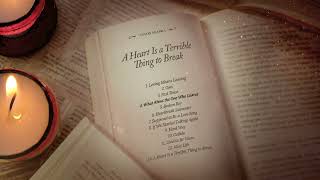 Anson Seabra  A Heart Is a Terrible Thing to Break Full Album Mix [upl. by Eanwahs664]