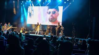 Navid Zardi Amsterdam Live Concert 2024 [upl. by Tyrus]