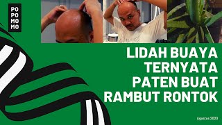 FAKTA  KHASIAT LIDAH BUAYA UNTUK RAMBUT RONTOK SERTA ASAM LAMBUNG [upl. by Allicerp]