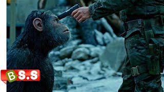 Apes Movie Explained In Hindi amp Urdu [upl. by Nedarb878]