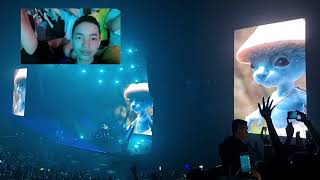 The Spectre  Alan Walker amp Blue Smurf Cat Concert  WalkerVerse 2023 [upl. by Clayborne]