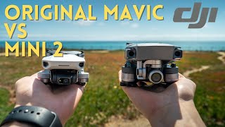 Original DJI Mavic Pro VS DJI Mini 2  Which One Should You Get [upl. by Sybyl]