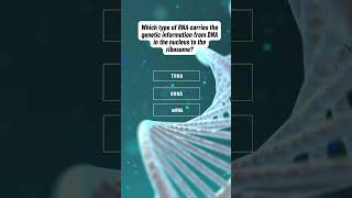 mRNA researchawards facts genomics panicattack biology geneinteraction [upl. by Nwatna]