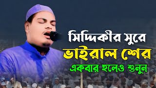 সিদ্দিকীর সুরে পীর সাহেব কলাপাড়া হুজুরের নতুন শের মাওঃ আবু সালেহ আল কারিমী Abu Saleh Al Karimi [upl. by Am]