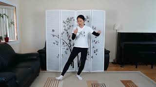 Tai Chi Yang Style 37 Form Movements 19 amp 20 Mirror Image [upl. by Virnelli]