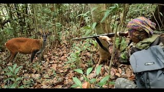 EXFLORE II Hunting Deer in the Forest of Kalimantan II Location on a Hill Where People Cut Wood [upl. by Nirtak533]