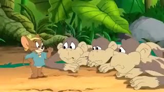 tom and jerry  Monkey full episodes  looney tunes cartoons  Wbkidscartoonsbn3ix [upl. by Benedick]