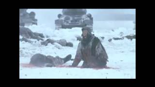 Stalingrad 1993 History 12 Video [upl. by Merete147]