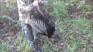 Kentucky Spring Turkey Hunt 2024 opening day [upl. by Ferree]