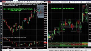 ORDER FLOW NINJATRADER 8  HERRAMIENTAS DE ORDER FLOW  Y TRADER [upl. by Eudoxia]