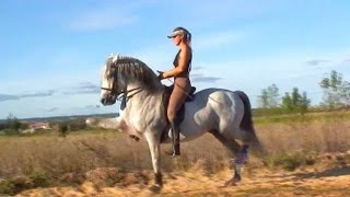 Le Trot Espagnol de Jenny et Irado Dressage Artistique [upl. by Nadaha]