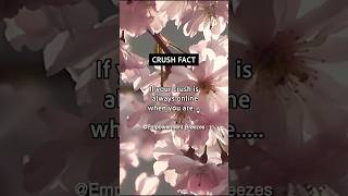 Crush is always online trending shorts psychologyfacts crush [upl. by Aisela27]