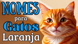 50 Nomes para Gatos Laranja 🐾🐈💖nomesdegatos [upl. by Daisie]