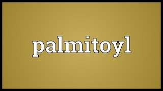 Palmitoyl Meaning [upl. by Frieder]