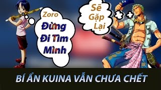 Giả Thuyết KUINA Bạn Niên Thiếu Zoro Vẫn Còn Sống [upl. by Wyn]