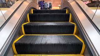 KONE Escalators at Von Maur Rosedale Mall Roseville MN [upl. by Livvi]