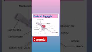 CANNULA IV PARTS OF CANNULA cannula shortsviral pw [upl. by Eltsyek261]