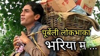 Bhariya Ma l Prakash Basnet l New Nepali Folk Song l प्रकाश बस्नेत l पूर्वेली भाका भरिया म l [upl. by Alletnahs440]