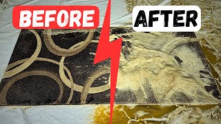 Satisfying ASMR Carpet cleaning Deep clean carpet Before and After [upl. by Natka]