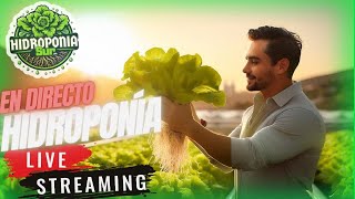 Tu Primer Cultivo Hidropónico en Vivo Aprende y Cosecha desde Casa [upl. by Yrahca209]