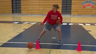 Ball Handling Drills Featuring Danielle Viglione [upl. by Sabu]