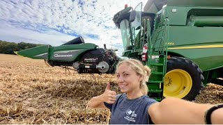 Little Corn Beans and Rain Day 6 of Harvest [upl. by Ylrevaw]