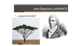 Evolution Theory L1 Lamarck [upl. by Zat]