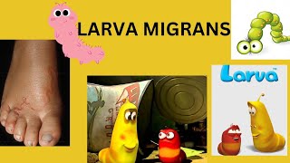 LARVA MIGRANS [upl. by Blackburn]